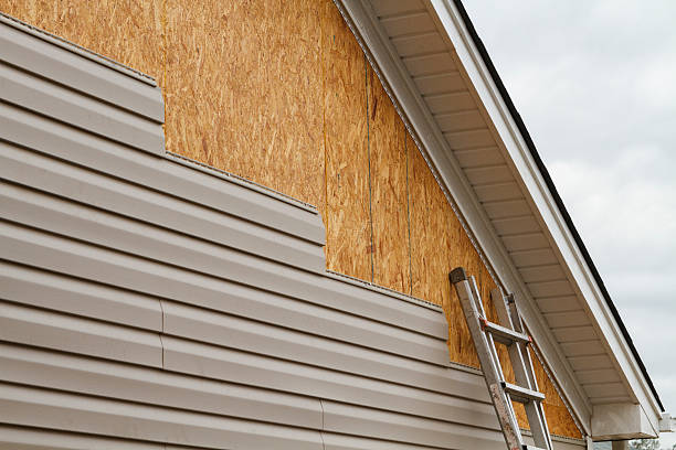 Professional Siding Inspection technician working in Seagrove, NC